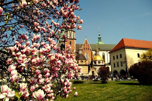 Krakow Old Town Highlights Private Tour | KRAKOW PRIVATE JEWISH TOURS-9